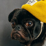 How Much Does a Small Business Website Cost?