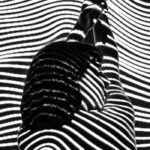 3D Animation