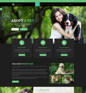 index-dark-mp-layout2-1.jpg